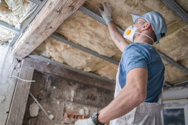 Best Cellulose Insulation  in Mountainhome, PA